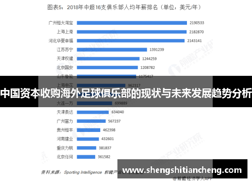 中国资本收购海外足球俱乐部的现状与未来发展趋势分析